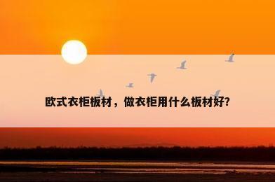 欧式衣柜板材，做衣柜用什么板材好？