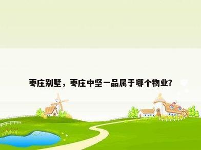 枣庄别墅，枣庄中坚一品属于哪个物业？