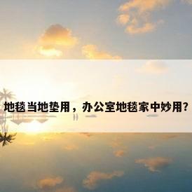 地毯当地垫用，办公室地毯家中妙用？