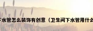 装修有道下水管怎么装饰有创意（卫生间下水管用什么装饰一下）