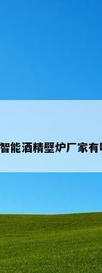 欧式壁炉有哪些厂家（智能酒精壁炉厂家有哪些智能酒精壁炉价格）