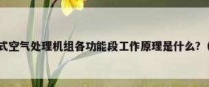 组合式空调器和组合式空气处理机组各功能段工作原理是什么?（相变储能式空气处理机组是个什么原理?）