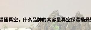 保温桶真空，什么品牌的大容量真空保温桶最好？