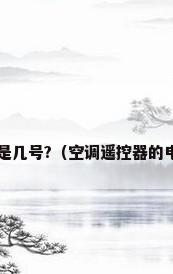 空调遥控器电池是几号?（空调遥控器的电池是几号电池?）