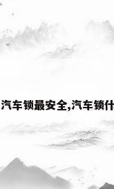 锁车锁大全，什么样的汽车锁最安全,汽车锁什么好推荐,汽车锁价格？