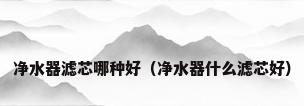 净水器滤芯哪种好（净水器什么滤芯好）