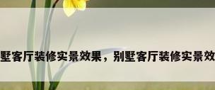 别墅客厅装修实景效果，别墅客厅装修实景效果