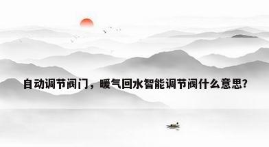 自动调节阀门，暖气回水智能调节阀什么意思？
