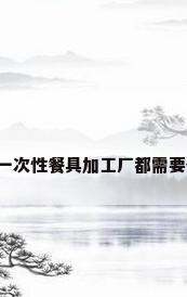 一次性餐具订做，办一个一次性餐具加工厂都需要什么机器，需要多少资金？