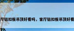 客厅铝扣板吊顶好看吗，客厅铝扣板吊顶好看吗