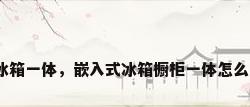 橱柜冰箱一体，嵌入式冰箱橱柜一体怎么安装？