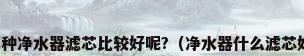 那种净水器滤芯比较好呢?（净水器什么滤芯好）