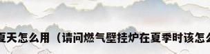 燃气壁挂炉采暖炉夏天怎么用（请问燃气壁挂炉在夏季时该怎么使用才是正确的?）