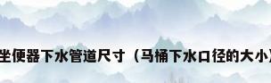 坐便器下水管道尺寸（马桶下水口径的大小）