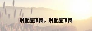 别墅屋顶图，别墅屋顶图