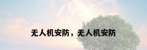 无人机安防，无人机安防