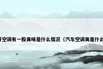 汽车开空调有一股臭味是什么情况（汽车空调臭是什么原因）