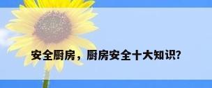 安全厨房，厨房安全十大知识？