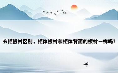衣柜板材区别，柜体板材和柜体背面的板材一样吗？