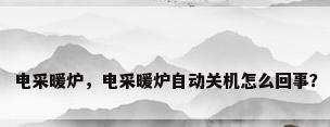 电采暖炉，电采暖炉自动关机怎么回事？