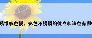 不锈钢彩色板，彩色不锈钢的优点和缺点有哪些？