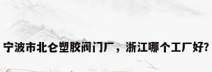 宁波市北仑塑胶阀门厂，浙江哪个工厂好？
