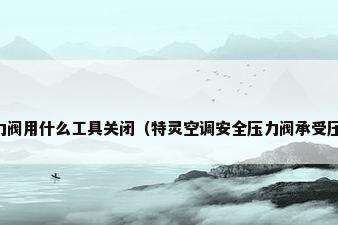 空调压力阀用什么工具关闭（特灵空调安全压力阀承受压力多少）
