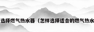 怎样选择燃气热水器（怎样选择适合的燃气热水器?）