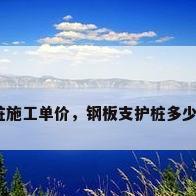 钢板桩施工单价，钢板支护桩多少一米？