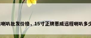 安防喇叭批发价格，15寸正牌惠威远程喇叭多少钱？