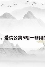 爱情公寓本子，爱情公寓5胡一菲用的华硕笔记本？