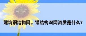 建筑钢结构网，钢结构双网资质是什么？