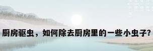 厨房驱虫，如何除去厨房里的一些小虫子？