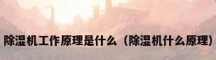 除湿机工作原理是什么（除湿机什么原理）