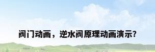 阀门动画，逆水阀原理动画演示？