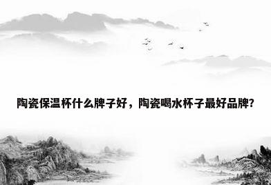 陶瓷保温杯什么牌子好，陶瓷喝水杯子最好品牌？