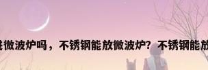 不锈钢能进微波炉吗，不锈钢能放微波炉？不锈钢能放微波炉吗？
