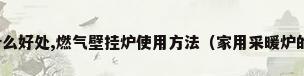 家用燃气壁挂炉有什么好处,燃气壁挂炉使用方法（家用采暖炉的种类有哪些?看你知道几种）