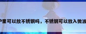 微波炉里可以放不锈钢吗，不锈钢可以放入微波炉吗？