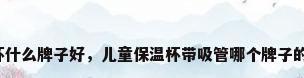 吸管保温杯什么牌子好，儿童保温杯带吸管哪个牌子的比较好啊？