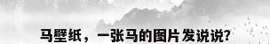 马壁纸，一张马的图片发说说？