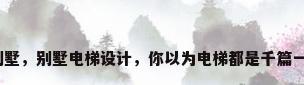 大电梯别墅，别墅电梯设计，你以为电梯都是千篇一律的吗？