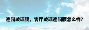 遮阳玻璃膜，客厅玻璃遮阳膜怎么样？