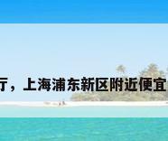 上海湖边餐厅，上海浦东新区附近便宜好玩的地方？
