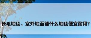 长毛地毯，室外地面铺什么地毯便宜耐用？