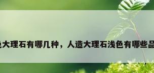 黑色大理石有哪几种，人造大理石浅色有哪些品种？