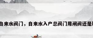 入户自来水阀门，自来水入户总阀门用闸阀还是球阀？