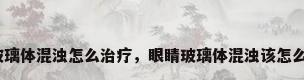 眼睛玻璃体混浊怎么治疗，眼睛玻璃体混浊该怎么治疗？