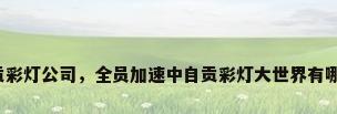 自贡彩灯公司，全员加速中自贡彩灯大世界有哪些？