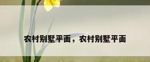 农村别墅平面，农村别墅平面